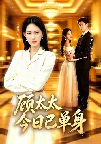 顾太太今日已单身作品封面